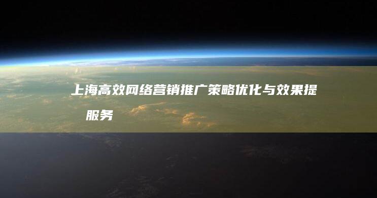 上海高效网络营销推广：策略优化与效果提升服务